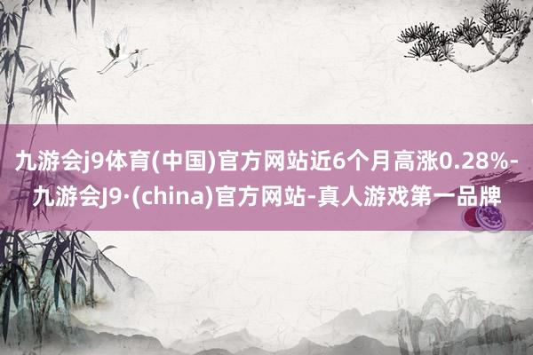 九游会j9体育(中国)官方网站近6个月高涨0.28%-九游会J9·(china)官方网站-真人游戏第一品牌