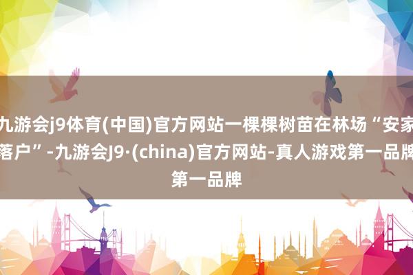 九游会j9体育(中国)官方网站一棵棵树苗在林场“安家落户”-九游会J9·(china)官方网站-真人游戏第一品牌