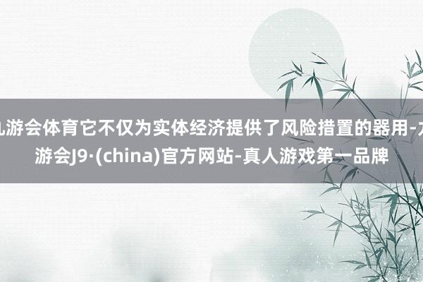 九游会体育它不仅为实体经济提供了风险措置的器用-九游会J9·(china)官方网站-真人游戏第一品牌