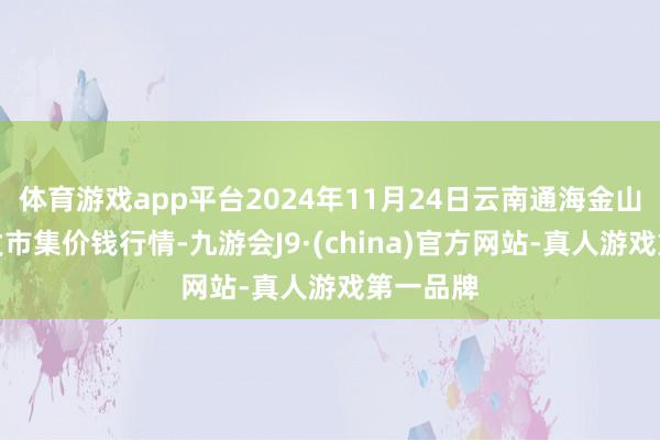 体育游戏app平台2024年11月24日云南通海金山蔬菜批发市集价钱行情-九游会J9·(china)官方网站-真人游戏第一品牌