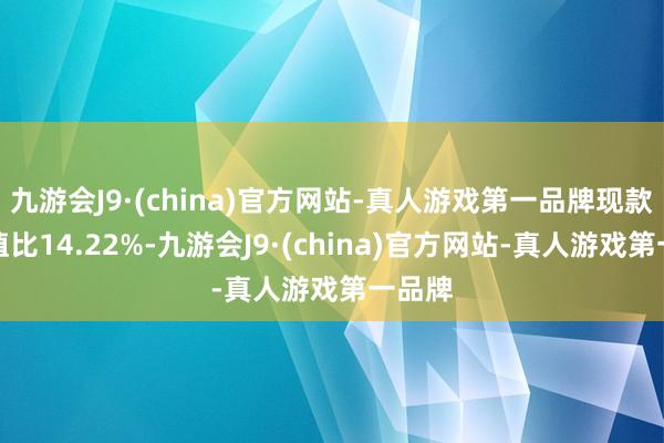 九游会J9·(china)官方网站-真人游戏第一品牌现款占净值比14.22%-九游会J9·(china)官方网站-真人游戏第一品牌